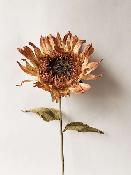 Hovedbilde Trend Design PAPIRBLOMST ...