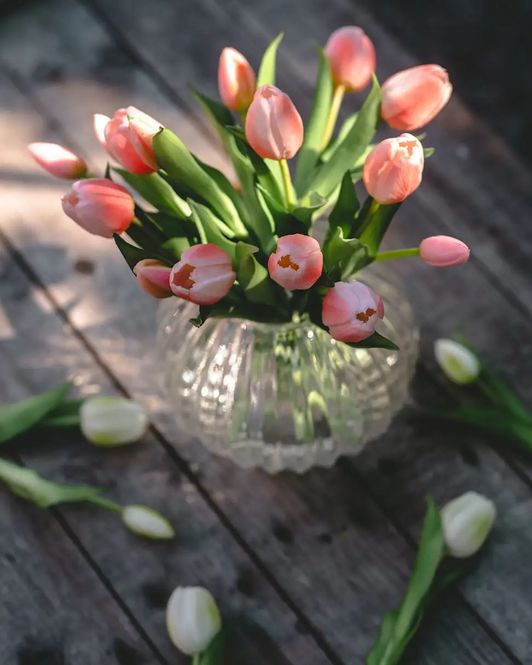 Hovedbilde A Lot TULIPANER Rosa