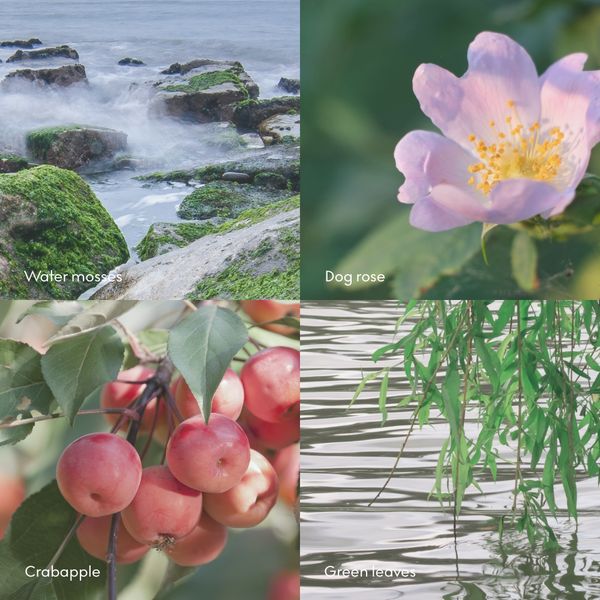 Hovedbilde Skandinavisk DUFTPINNER Øy ...