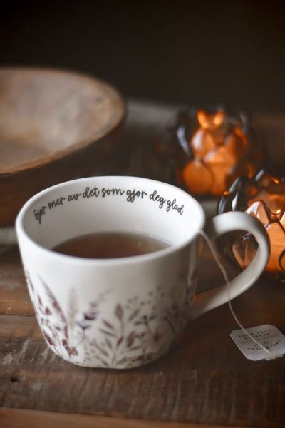 Hovedbilde Trend Design KRUS Eng 