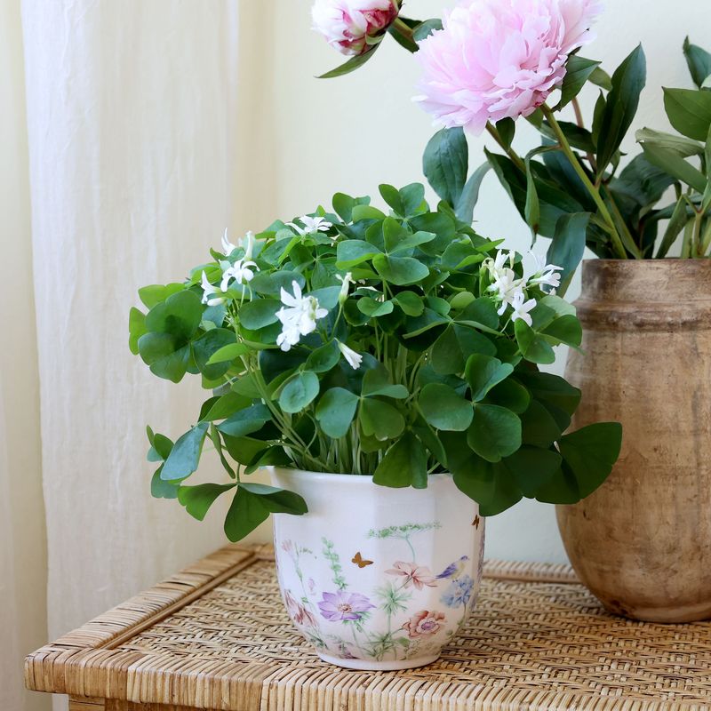 Chic Antique PAPILLON BLOMSTERPOTTE m/blomstermotiv H12,5cm