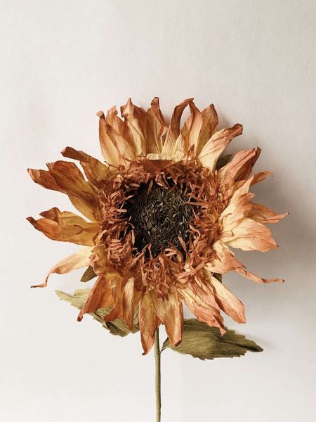 Hovedbilde Trend Design PAPIRBLOMST ...